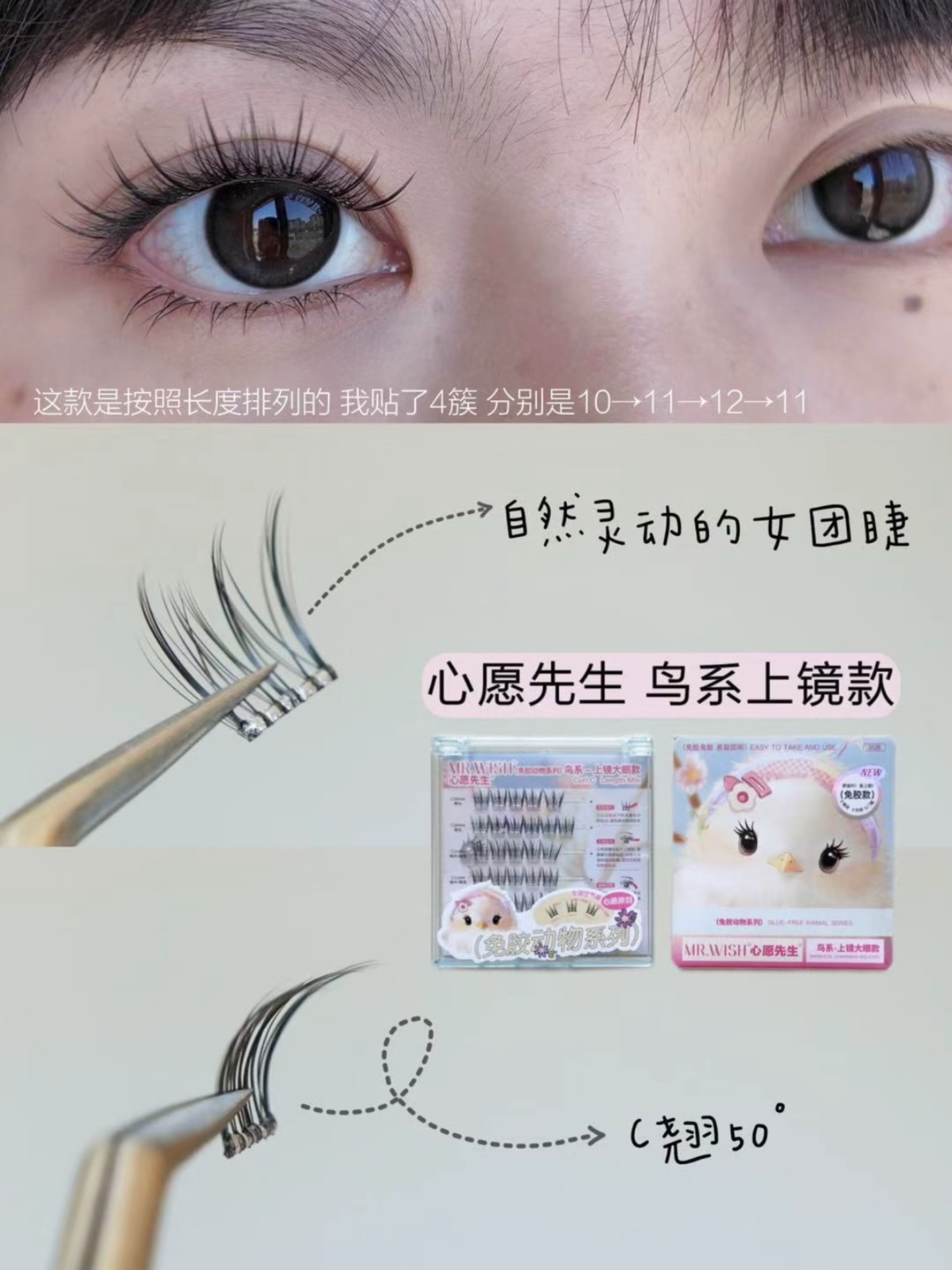 Mr.Wish 免胶睫毛 | 鸟啾啾 - Image 2